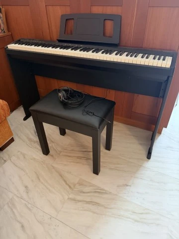 Roland FP-10