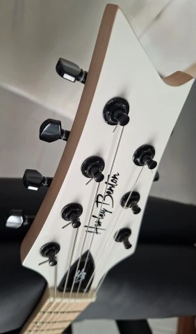 Harley Benton TE-20HH και Harley Benton R-457MN