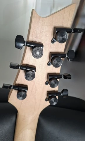 Harley Benton TE-20HH και Harley Benton R-457MN