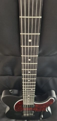 Harley Benton TE-20HH και Harley Benton R-457MN
