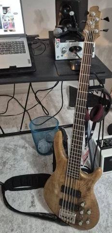 Cort Artisan A5