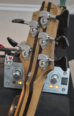 Cort Artisan A5