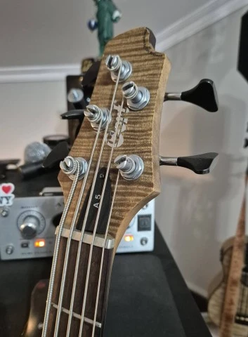 Cort Artisan A5