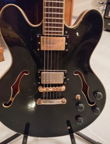 Epiphone Sheraton-II