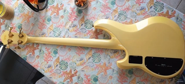 Ibanez Musician MC924