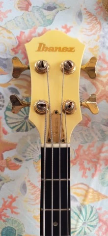 Ibanez Musician MC924