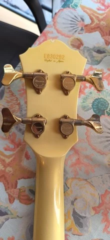 Ibanez Musician MC924