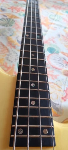 Ibanez Musician MC924