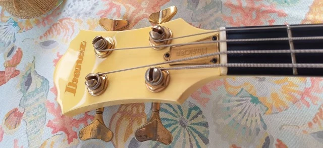Ibanez Musician MC924