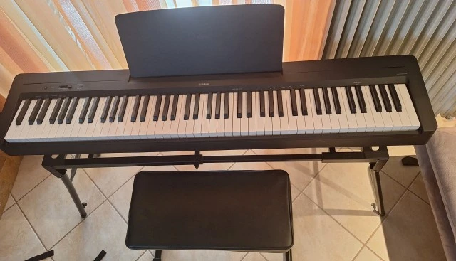 Yamaha P-145