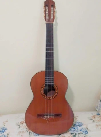 Aria Concert AC -15