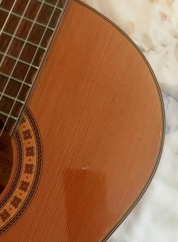 Aria Concert AC -15