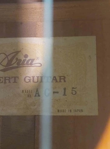 Aria Concert AC -15