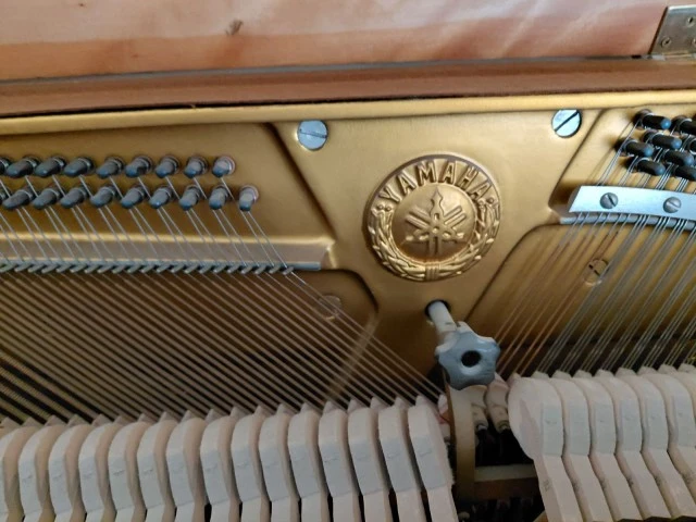 Yamaha c108
