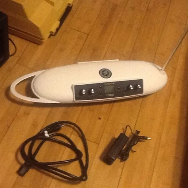 Moog Theremini