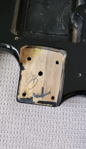 Strat Body Full thickness
