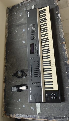 Kurzweil artis