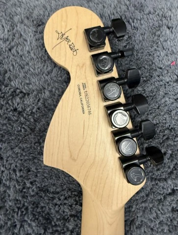 Fender Jim Root Stratocaster