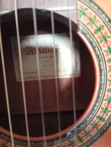 Alhambra 3 C CW E1 plus gig bag