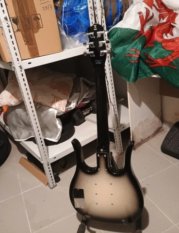 Danelectro Longhorn 3-Pickups + θήκη