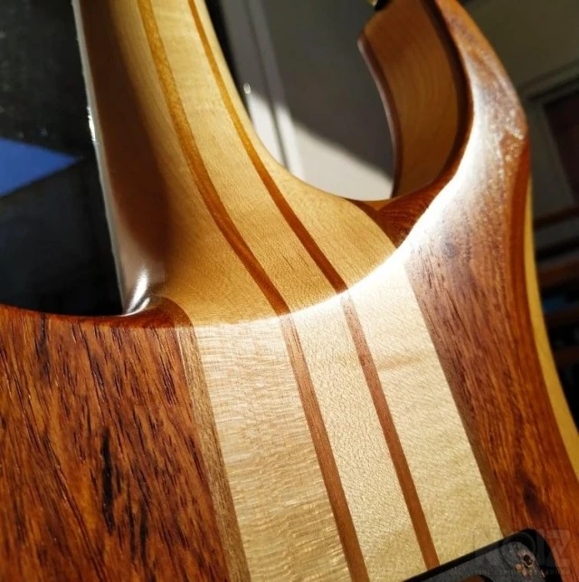 RWG Custom Guitar