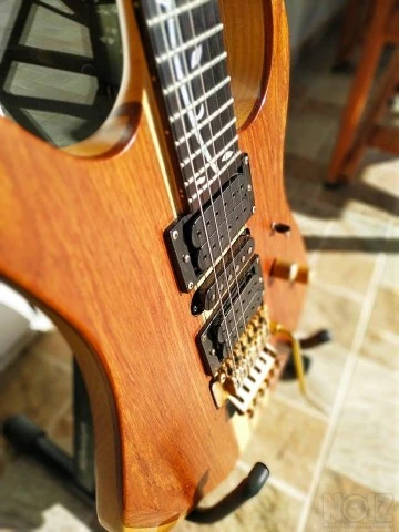 RWG Custom Guitar