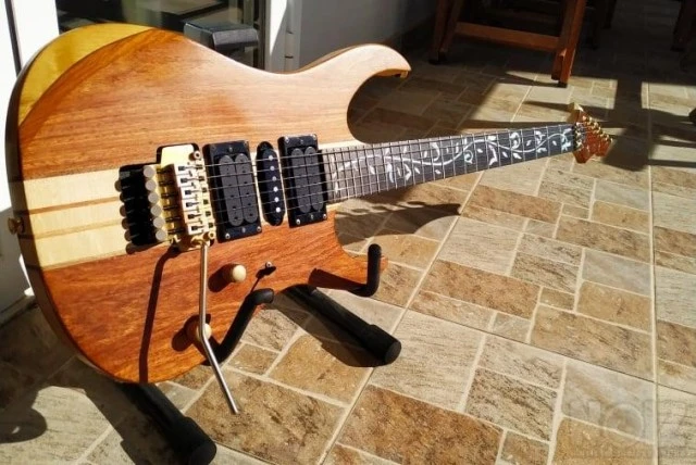 RWG Custom Guitar
