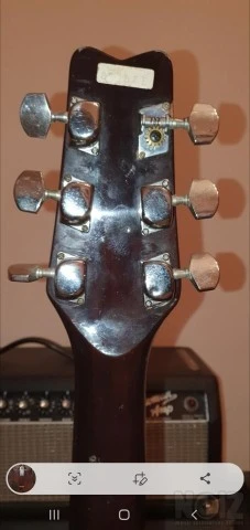 Washburn Raven 1979