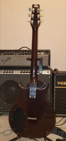 Washburn Raven 1979