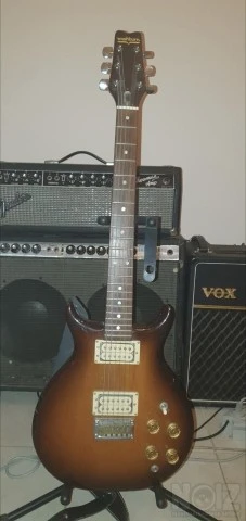Washburn Raven 1979