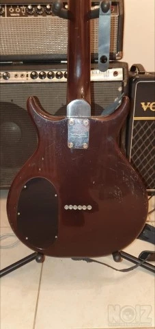 Washburn Raven 1979