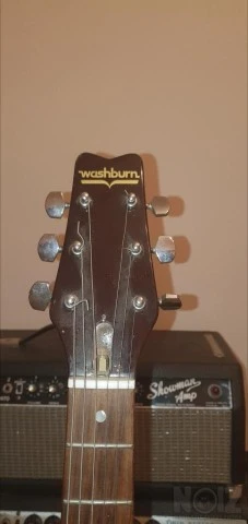 Washburn Raven 1979