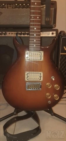 Washburn Raven 1979