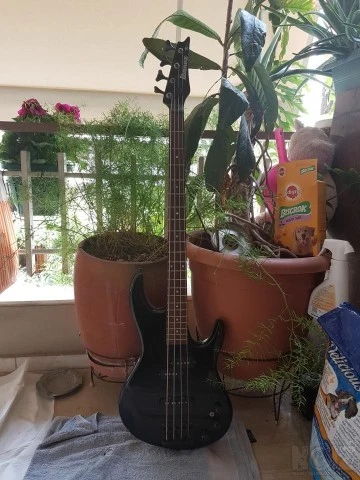 Ibanez Ibanez Tr Series Bass