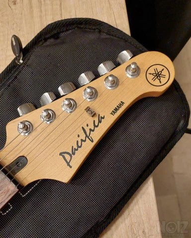 Pacifica Yamaha / Ritter Θήκη / Line 6 ε