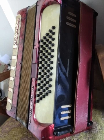 Hohner acordeon