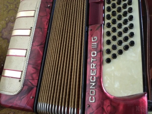 Hohner acordeon