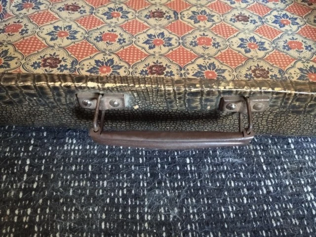 Hohner acordeon