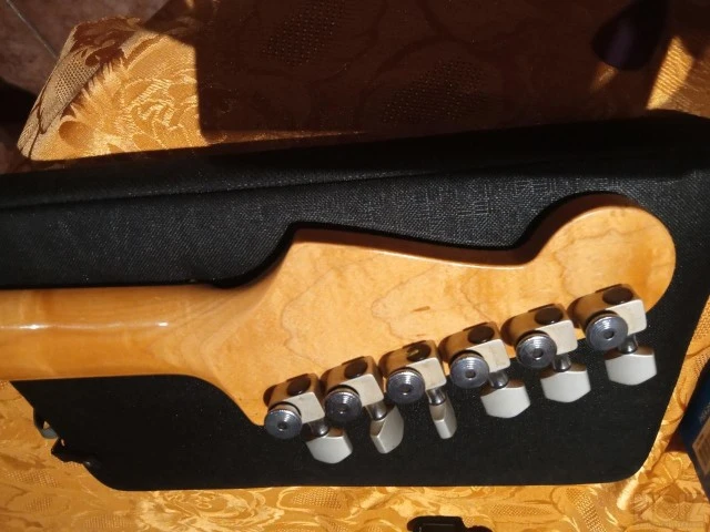 ESP stratocaster - partcaster