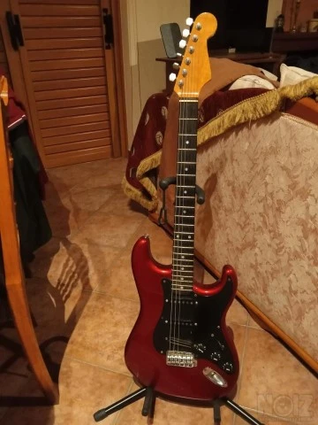 ESP stratocaster - partcaster