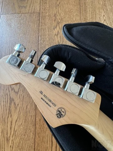 Fender Stratocaster Player Series MNBCR