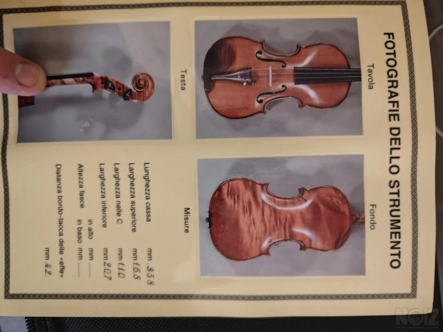Gliga Maestro 4/4 violin + Sandu stroe 4