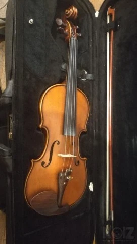 Gliga Maestro 4/4 violin + Sandu stroe 4