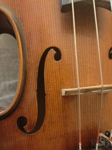 Gliga Maestro 4/4 violin + Sandu stroe 4