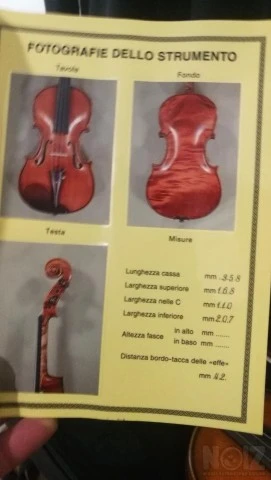 Gliga Maestro 4/4 violin + Sandu stroe 4