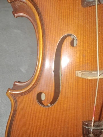 Gliga Maestro 4/4 violin + Sandu stroe 4