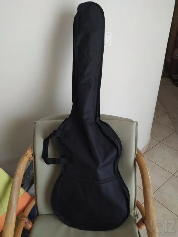 Ηλεκτρική κιθάρα hss