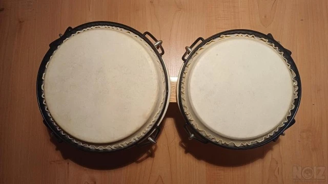 Bongos