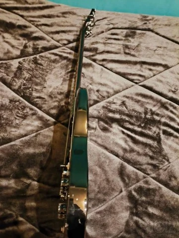 Epiphone G-310