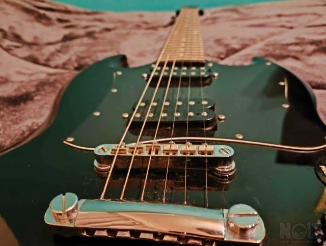 Epiphone G-310